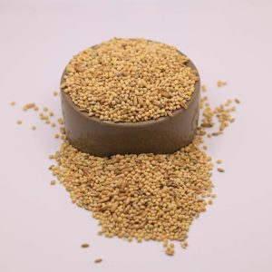 1 lb - Regular Parakeet Food
