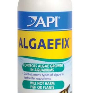 API Algae Fix 4 oz